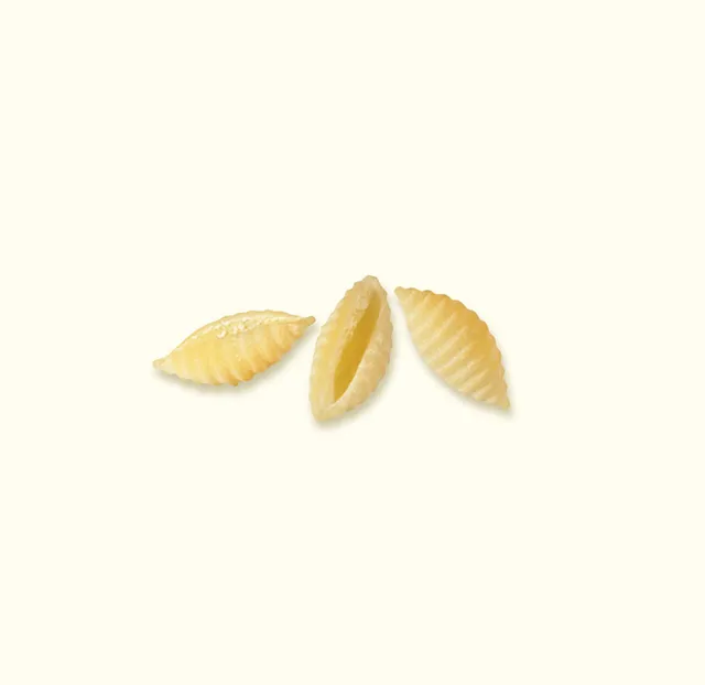 benedetto-cavalieri-gnocchi-sardi-p-tes-de-semoule-de-bl-dur image 1