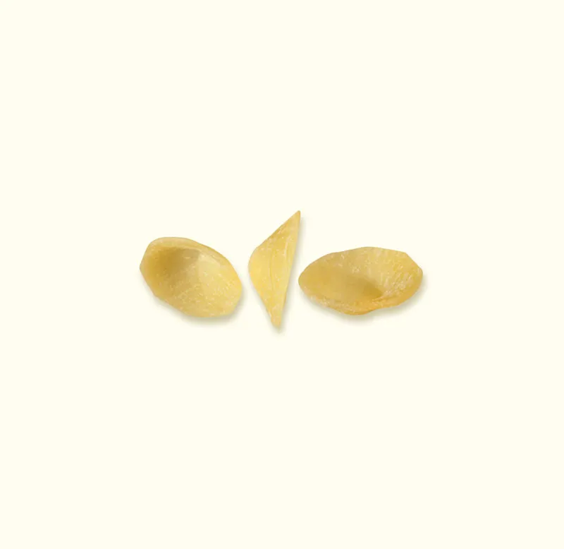benedetto-cavalieri-orecchiette-p-tes-de-semoule-de-bl-dur-2 image 1