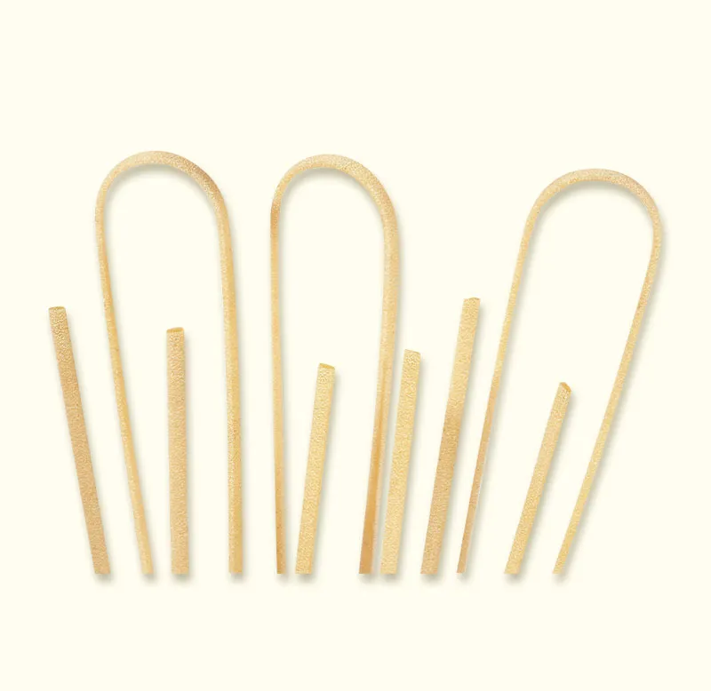 benedetto-cavalieri-linguine-compl-tes-bio-p-tes-bio-au-bl-complet image 1