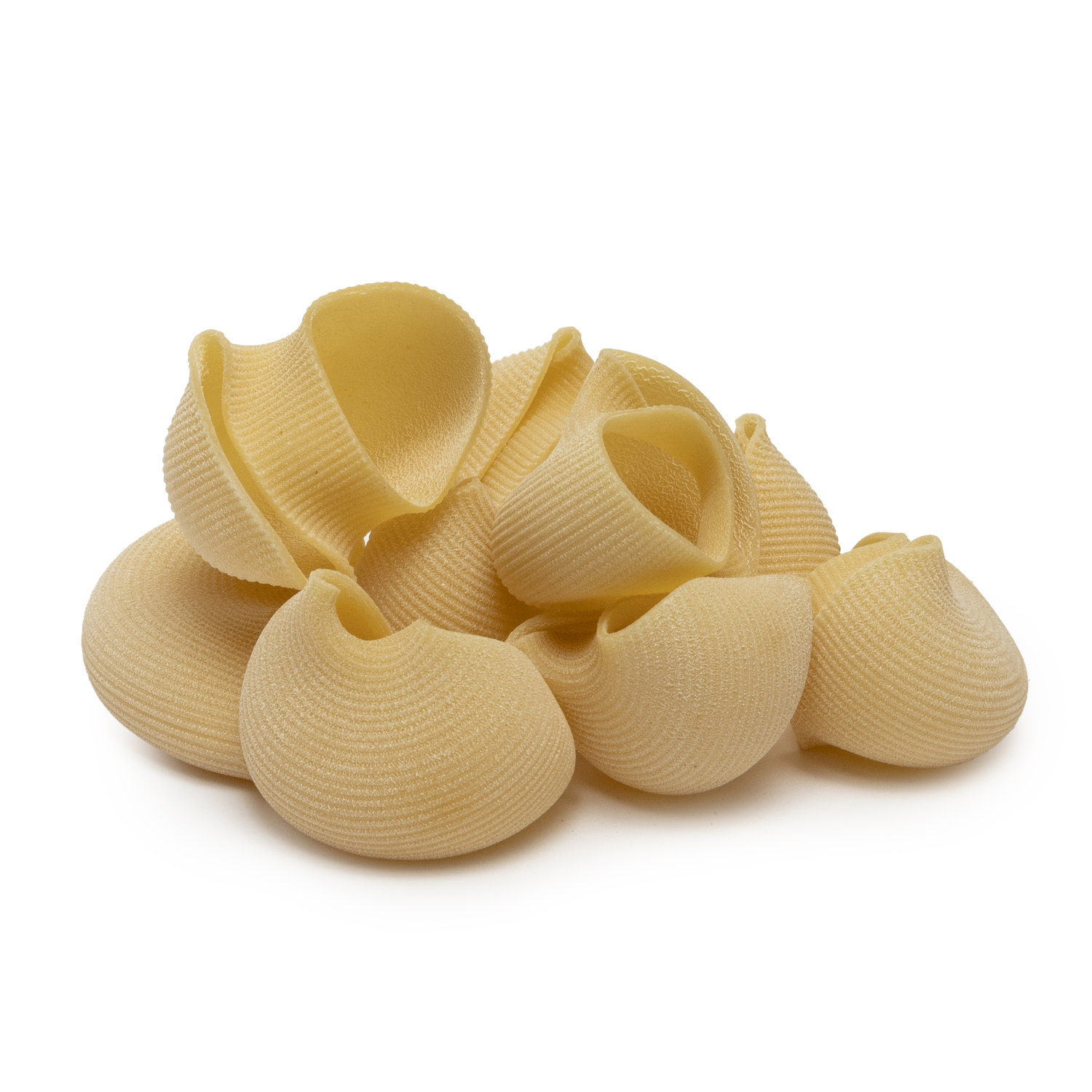 afeltra-lumacone-grosses-p-tes-farcir-au-bl-100-italien image 3