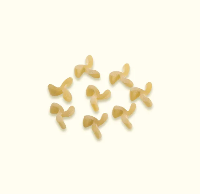 benedetto-cavalieri-trifogli-p-tes-de-semoule-de-bl-dur-pastina image 1