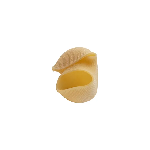 afeltra-lumacone-grosses-p-tes-farcir-au-bl-100-italien image 1