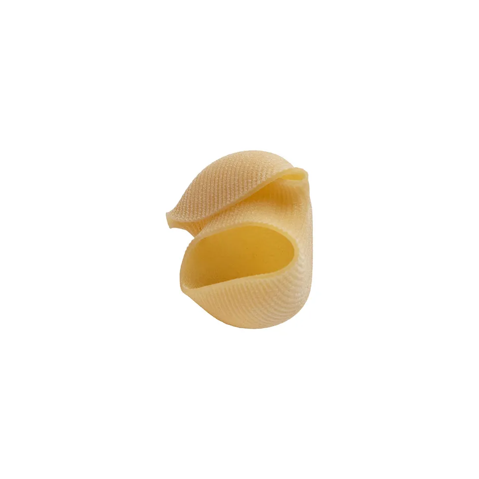afeltra-lumacone-grosses-p-tes-farcir-au-bl-100-italien image 1