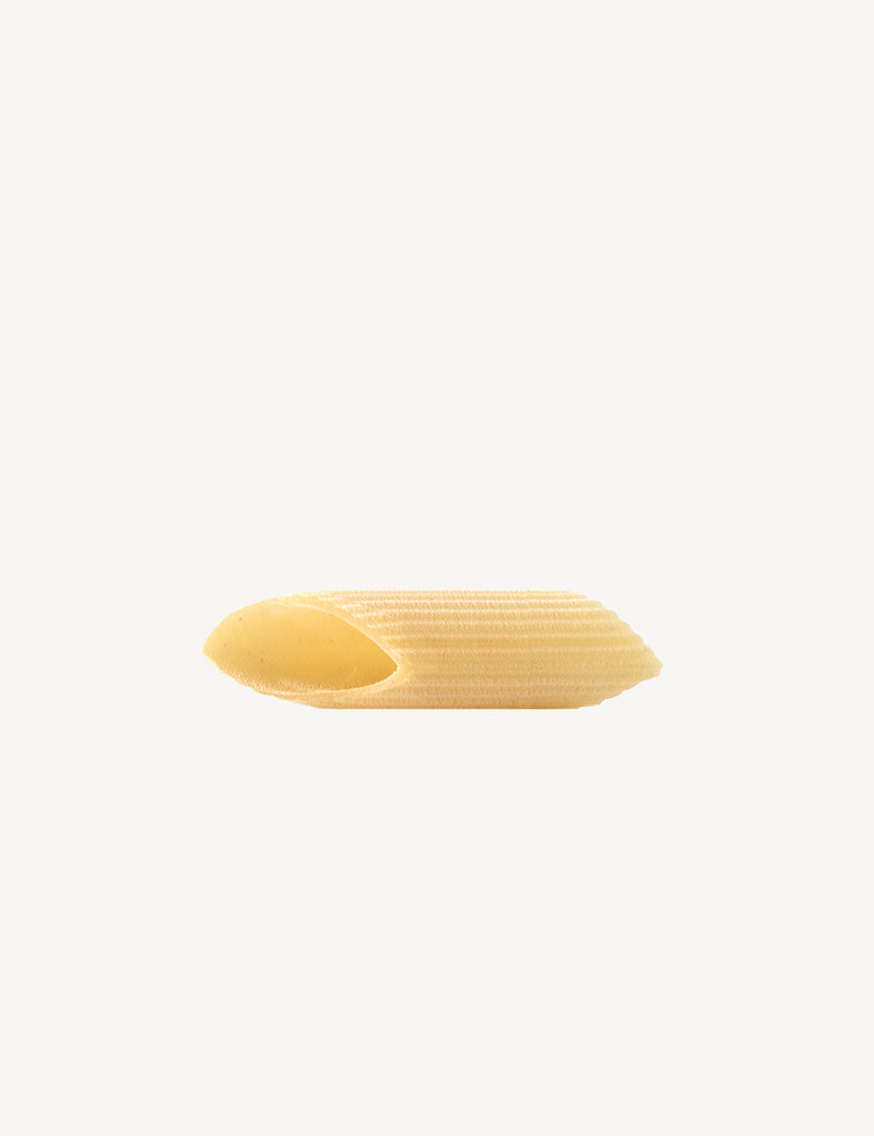 di-martino-pennoni-p-tes-courtes-ray-es-grand-format image 2