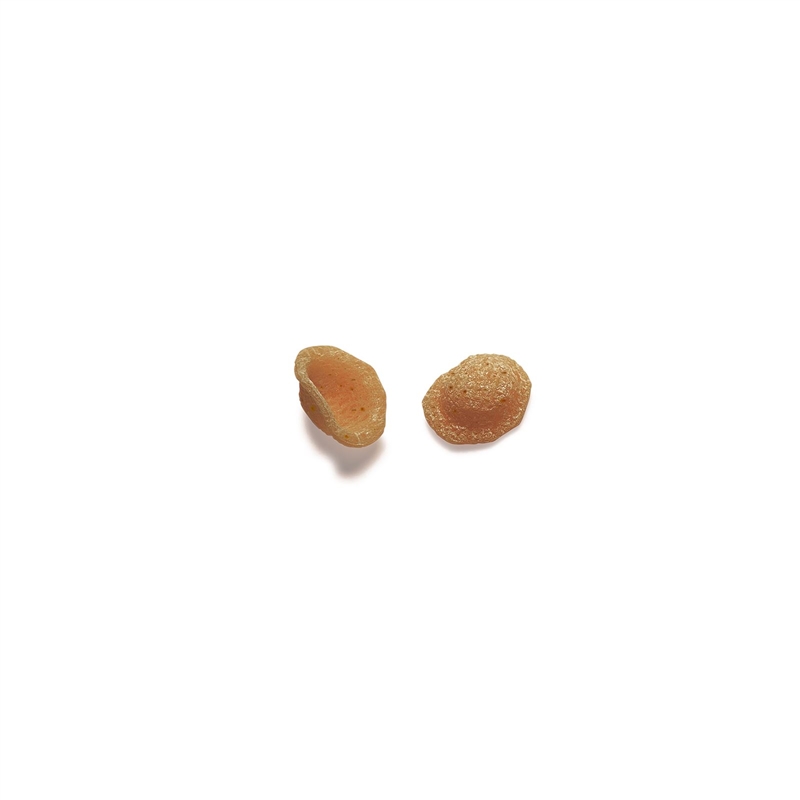 granoro-bio-int-grale-orecchiette-n-91-p-tes-compl-tes-bio image 2