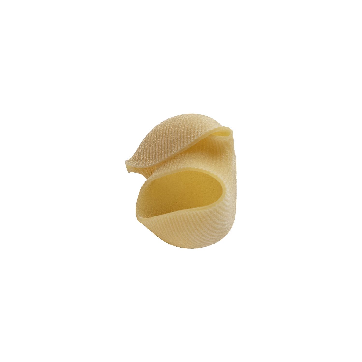 afeltra-lumacone-grosses-p-tes-farcir-au-bl-100-italien image 1