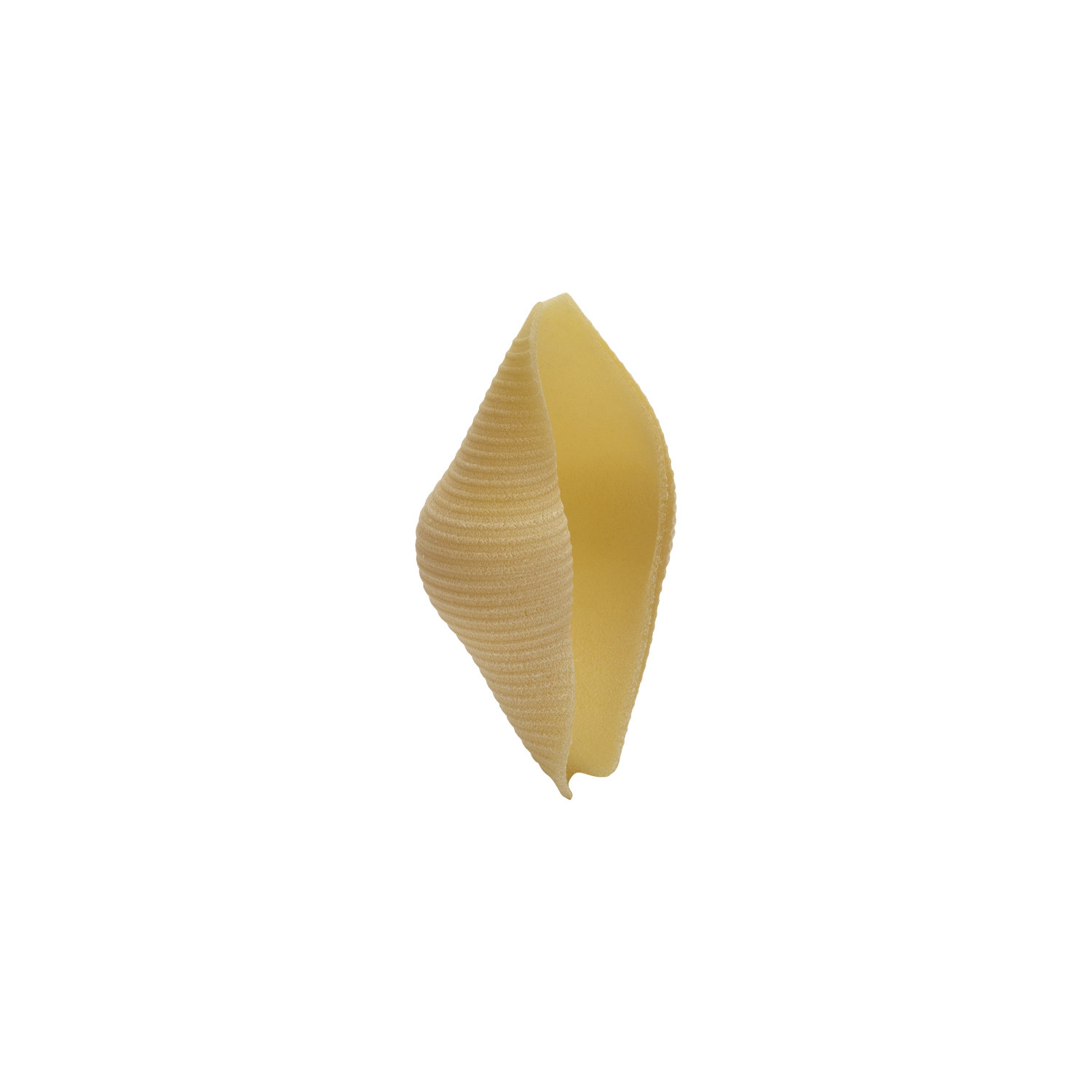 afeltra-conchiglione-rigato-p-tes-italiennes-premium-100-bl-italien image 2