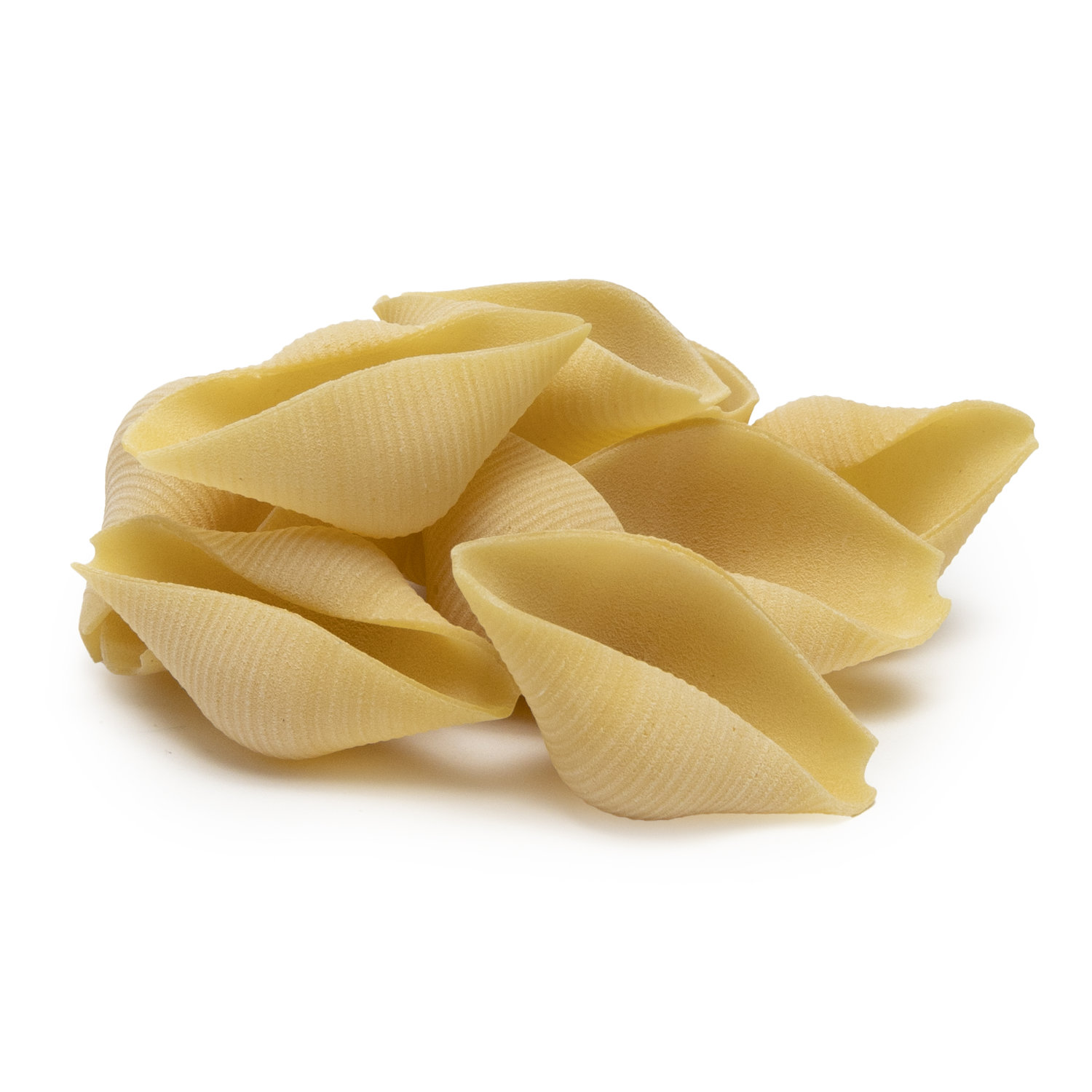 afeltra-conchiglione-rigato-p-tes-italiennes-premium-100-bl-italien image 3